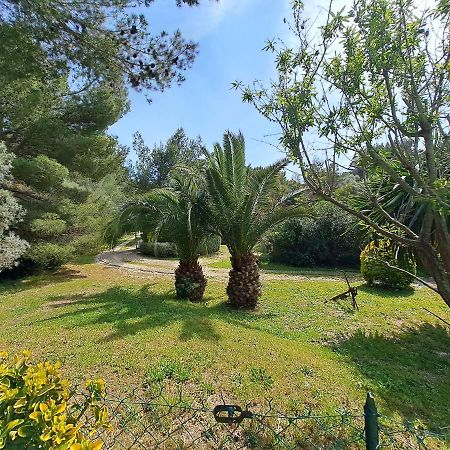 Rez De Jardin Villa Presqu'Ile De Giens Hyères المظهر الخارجي الصورة