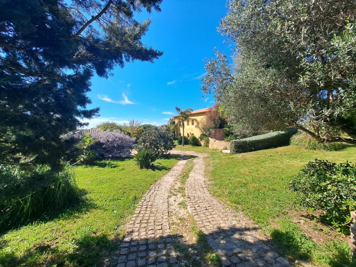 Rez De Jardin Villa Presqu'Ile De Giens Hyères المظهر الخارجي الصورة