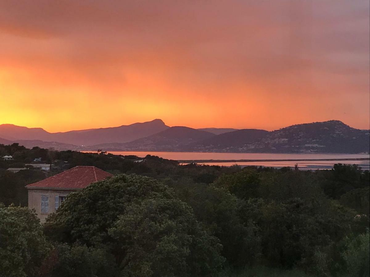 Rez De Jardin Villa Presqu'Ile De Giens Hyères المظهر الخارجي الصورة